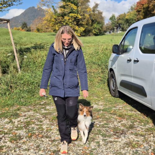 Anni hat den Team-Test bestanden